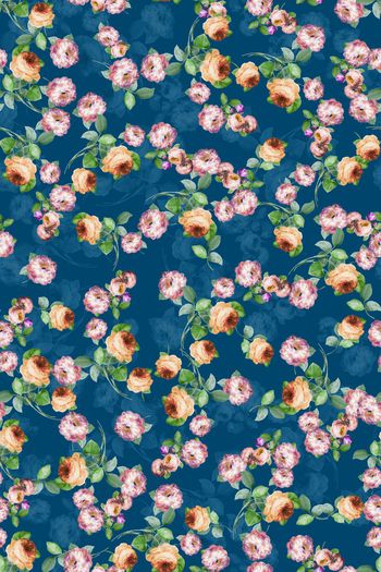 1500785-花卉20135-3