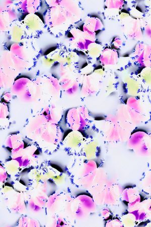 渐变印花华亿平台图片