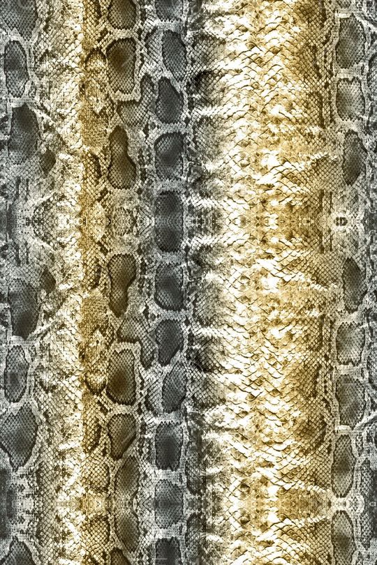 蛇纹印花华亿平台图片