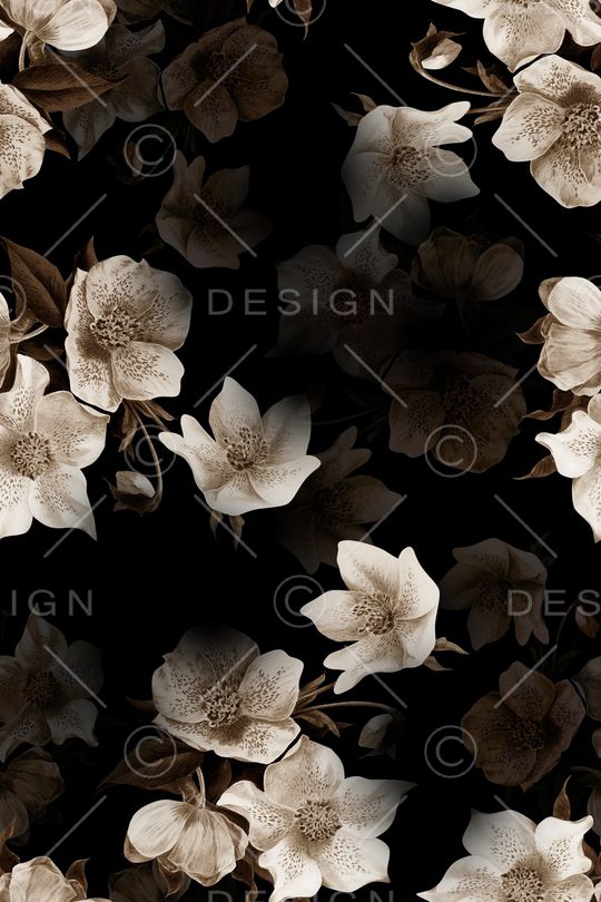 黑底花卉印花华亿平台图片