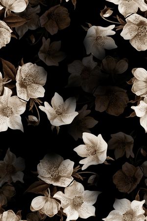 黑底花卉印花华亿平台图片