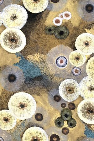 蒲公英印花华亿平台图片