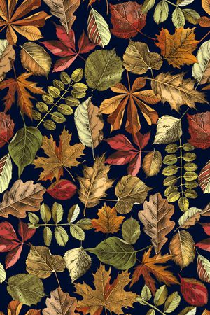 绿植树叶印花华亿平台图片