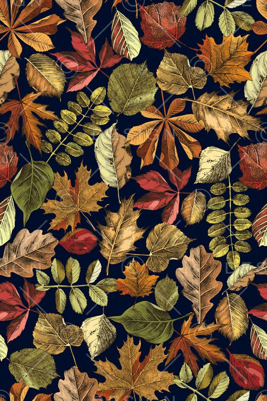 绿植树叶印花华亿平台图片