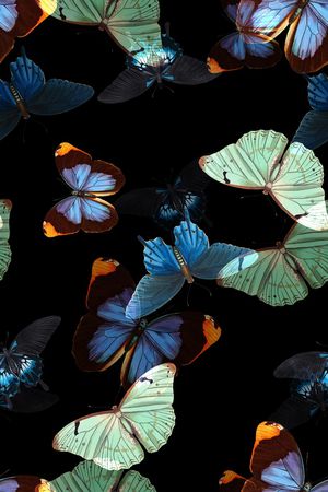 黑底花卉印花华亿平台图片