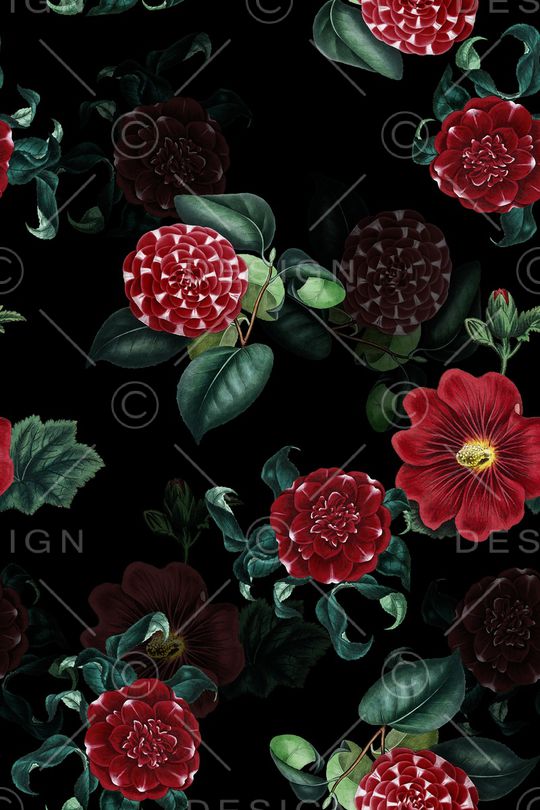 黑底花卉印花华亿平台图片