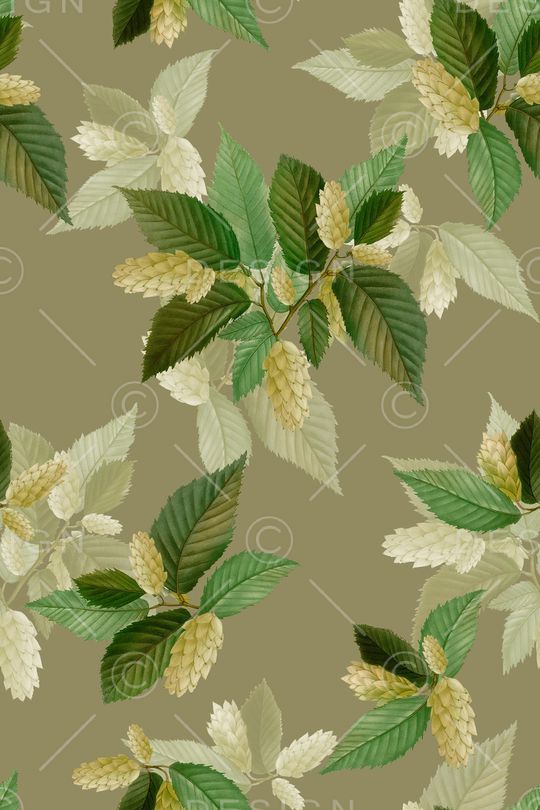 绿植树叶印花华亿平台图片