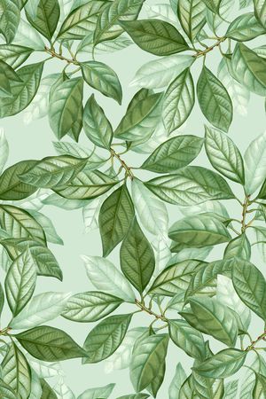 绿植树叶印花华亿平台图片