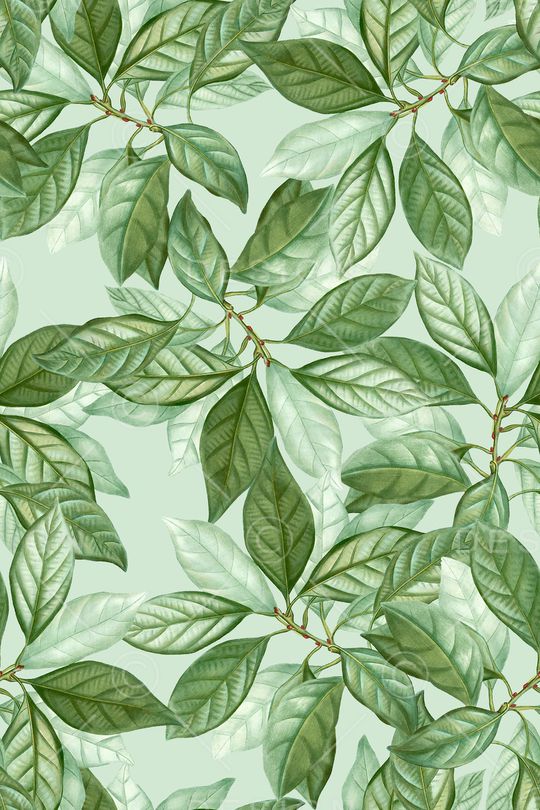 绿植树叶印花华亿平台图片