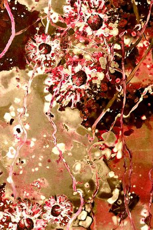 朱砂印花华亿平台图片