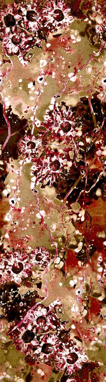 150175-WL3-0196E 服装 D