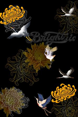 字母印花华亿平台图片