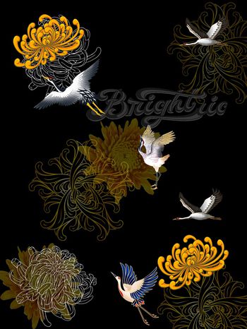 字母印花华亿平台图片