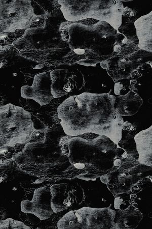 肌理印花华亿平台图片