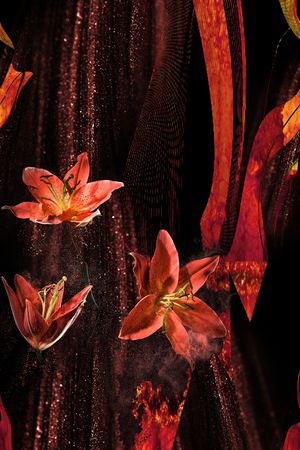 黑底花卉印花华亿平台图片