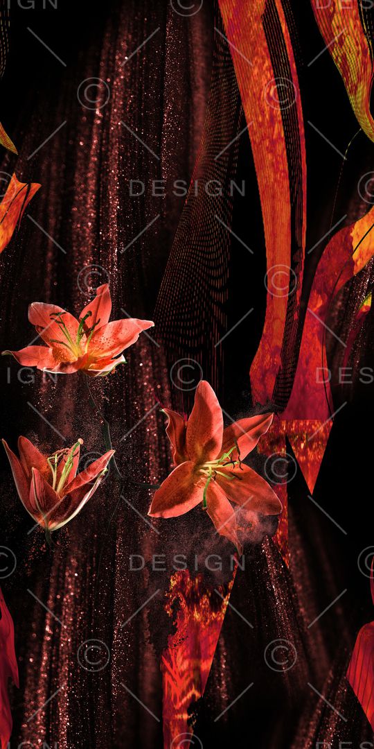 黑底花卉印花华亿平台图片