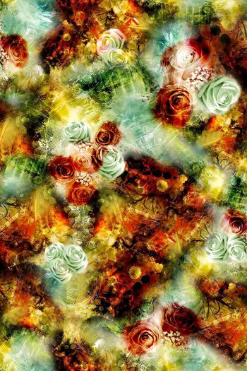 150213-摄影图片和玫瑰花