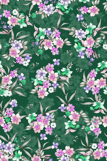 1502143-花卉20139-2