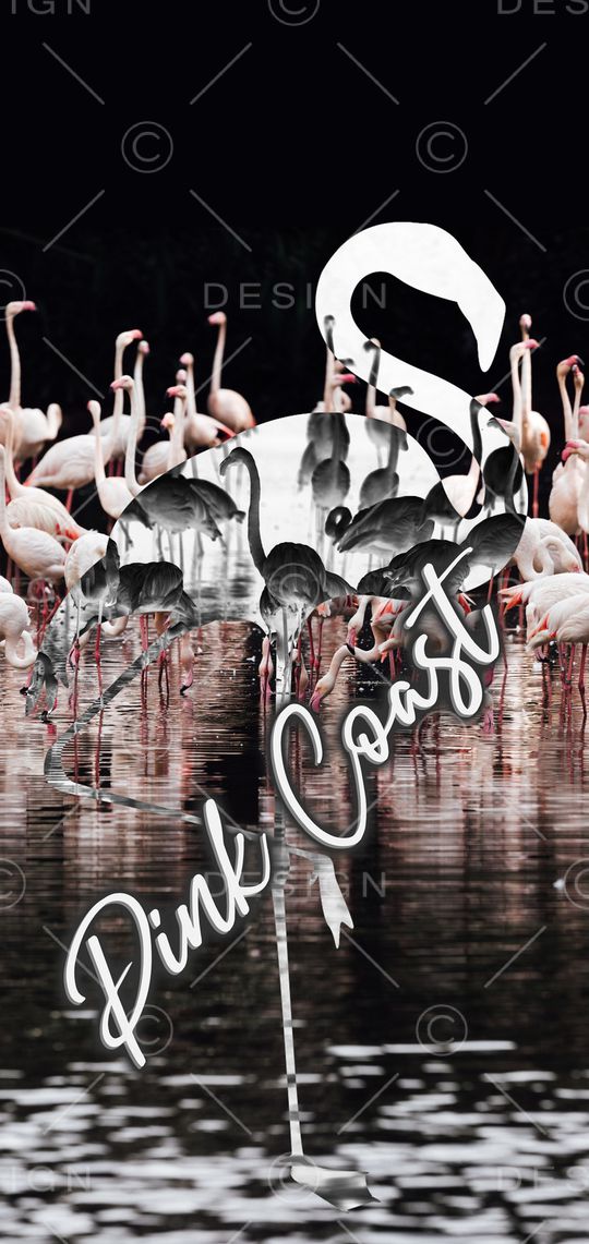 火烈鸟印花华亿平台图片