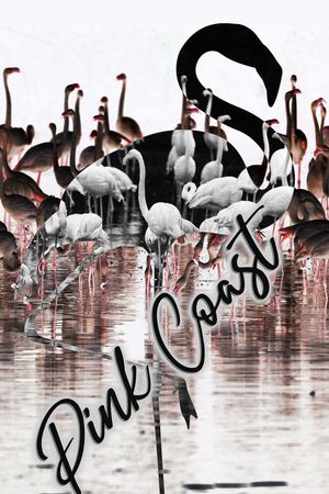 火烈鸟印花华亿平台图片