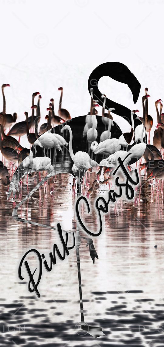 火烈鸟印花华亿平台图片