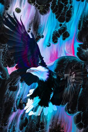 老鹰印花华亿平台图片