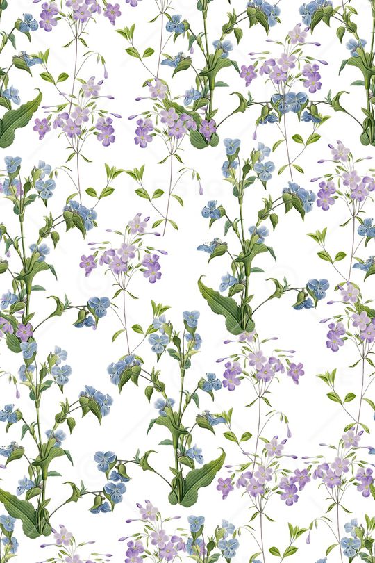 清爽底花卉印花华亿平台图片