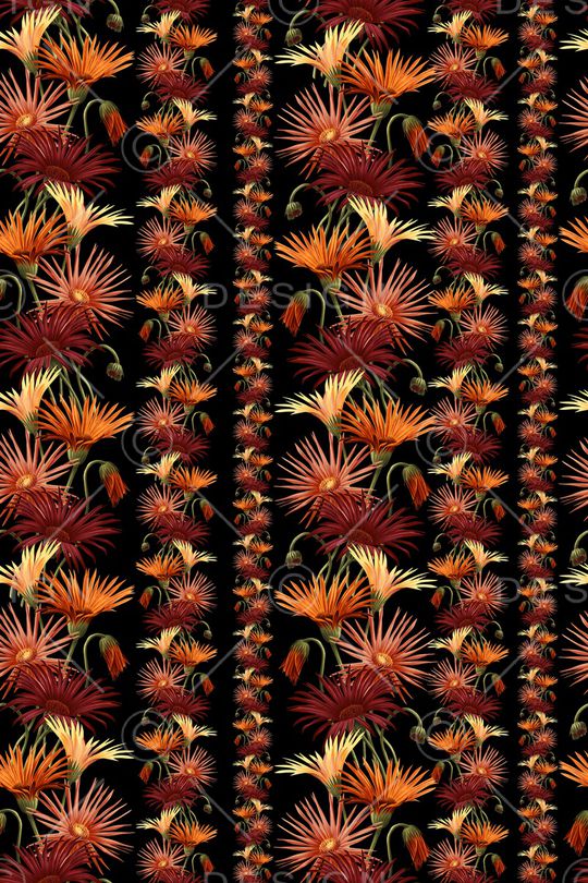 黑底花卉印花华亿平台图片