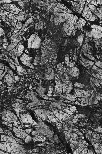 1502428-SS20221004-3