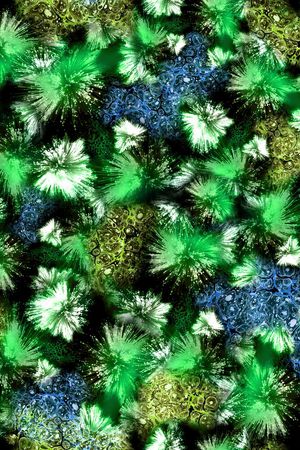 绚丽印花华亿平台图片