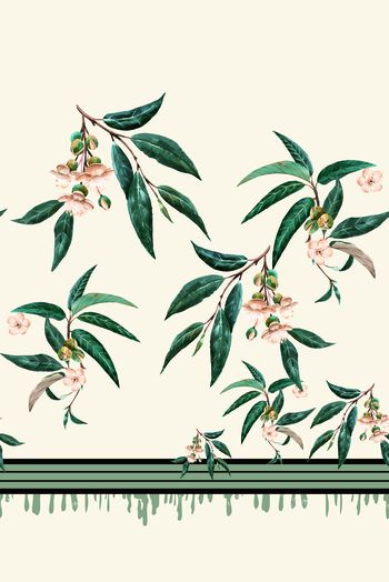 玉兰花印花华亿平台图片