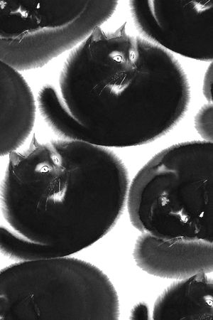 黑白华亿平台印花华亿平台图片