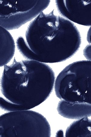 黑白华亿平台印花华亿平台图片