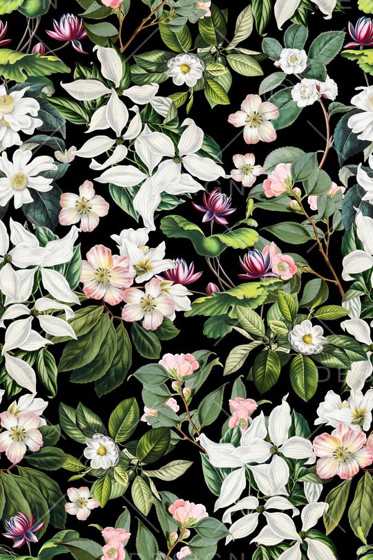 黑底花卉印花华亿平台图片