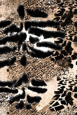 豹纹印花华亿平台图片