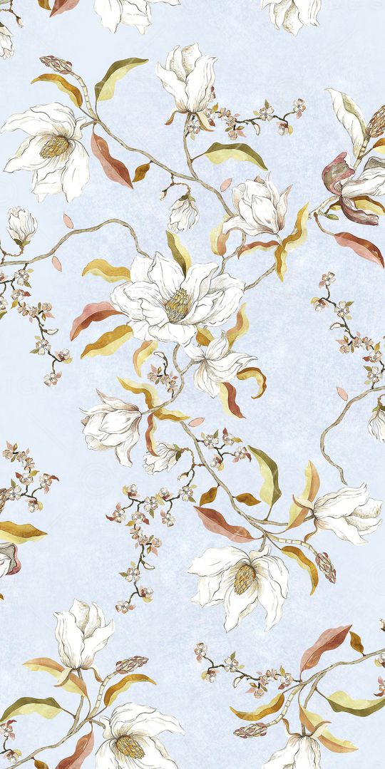 蝴蝶兰印花华亿平台图片