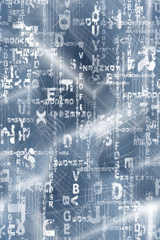 字母印花华亿平台图片