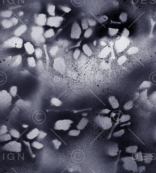 肌理印花华亿平台图片