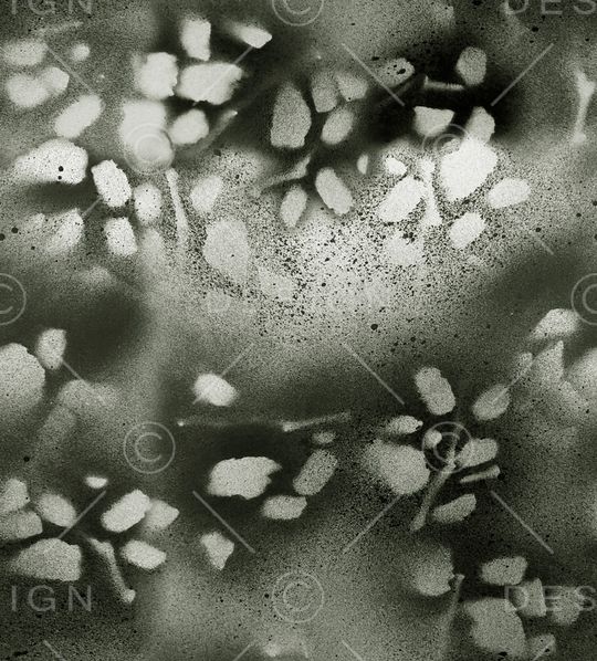 肌理印花华亿平台图片