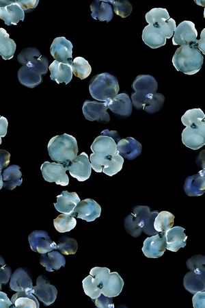 黑底花卉印花华亿平台图片