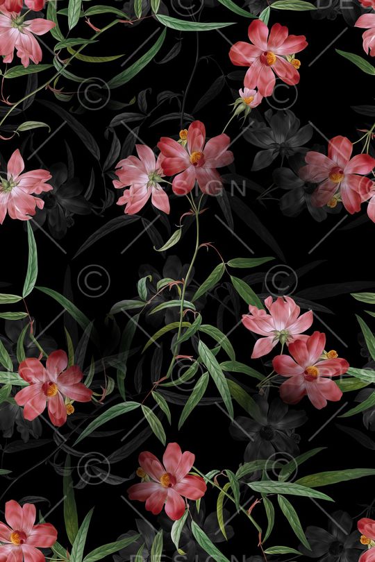 黑底花卉印花华亿平台图片