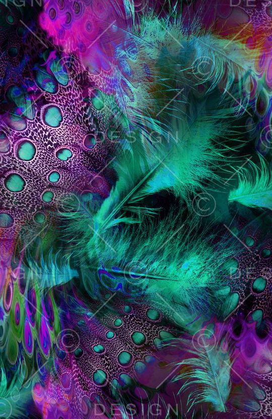 羽毛印花华亿平台图片