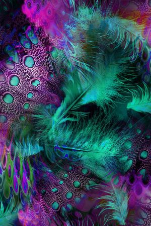 羽毛印花华亿平台图片