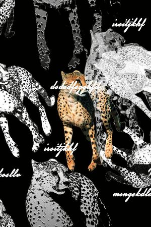 字母印花华亿平台图片