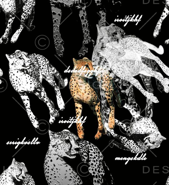 字母印花华亿平台图片