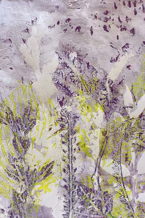 botanic印花华亿平台图片