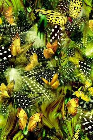 蝴蝶印花华亿平台图片