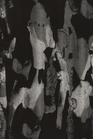 暗调肌理印花华亿平台图片