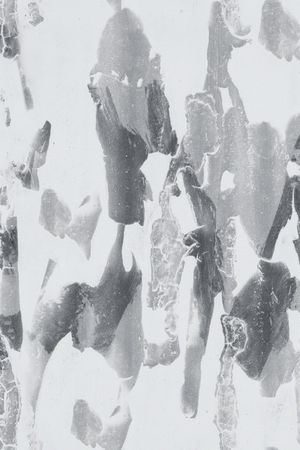 字母印花华亿平台图片