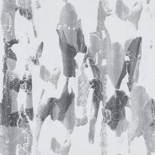 字母印花华亿平台图片